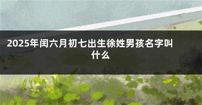 2025年闰六月初七出生徐姓男孩名字叫什么
