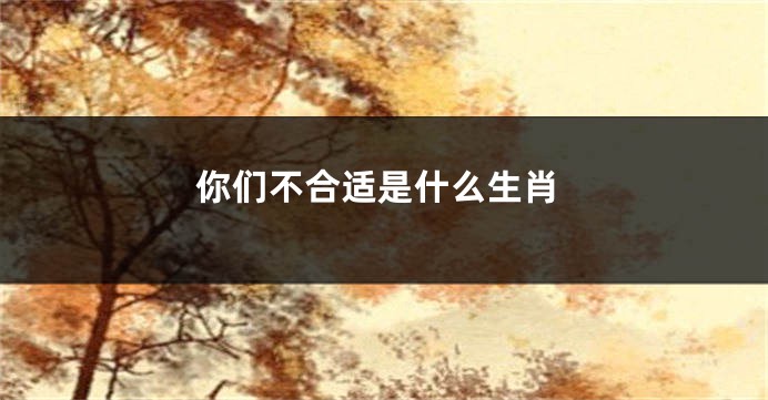 你们不合适是什么生肖