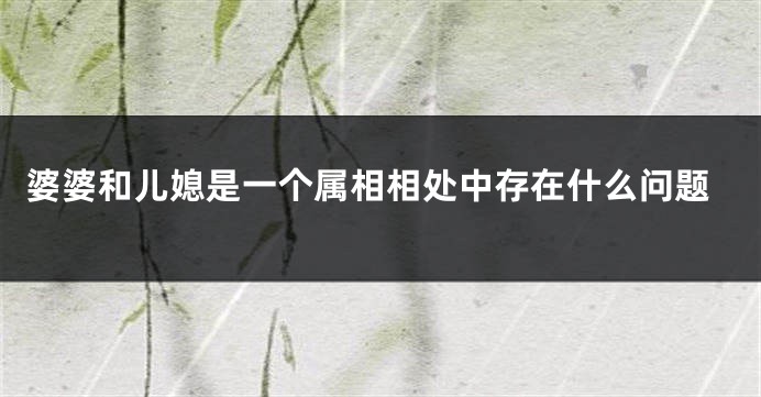 婆婆和儿媳是一个属相相处中存在什么问题