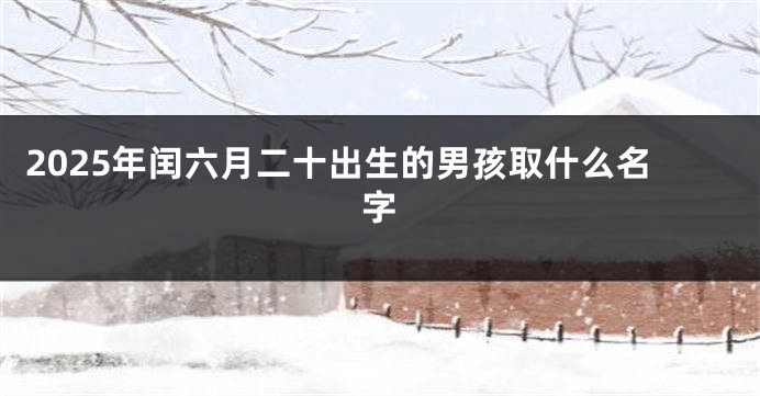 2025年闰六月二十出生的男孩取什么名字