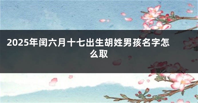 2025年闰六月十七出生胡姓男孩名字怎么取