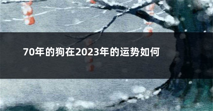 70年的狗在2023年的运势如何