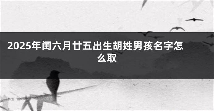 2025年闰六月廿五出生胡姓男孩名字怎么取