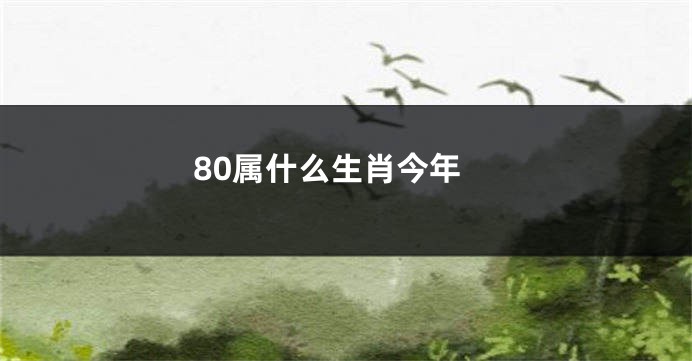 80属什么生肖今年