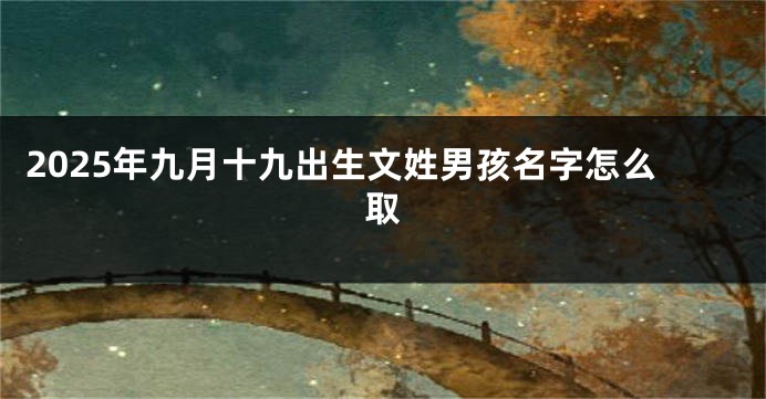 2025年九月十九出生文姓男孩名字怎么取