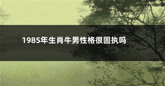 1985年生肖牛男性格很固执吗