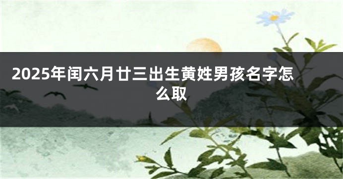 2025年闰六月廿三出生黄姓男孩名字怎么取