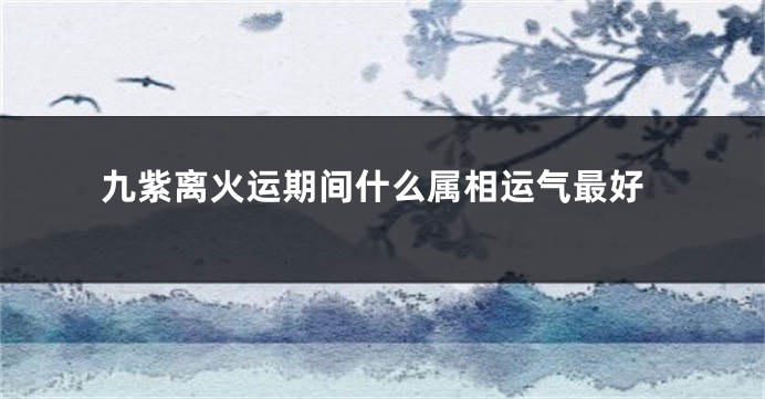 九紫离火运期间什么属相运气最好