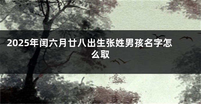 2025年闰六月廿八出生张姓男孩名字怎么取