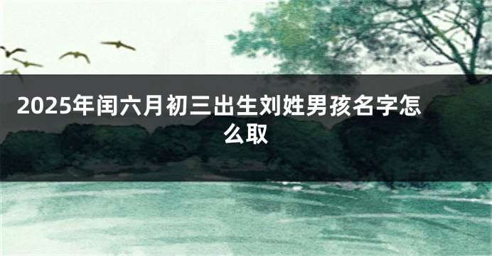 2025年闰六月初三出生刘姓男孩名字怎么取