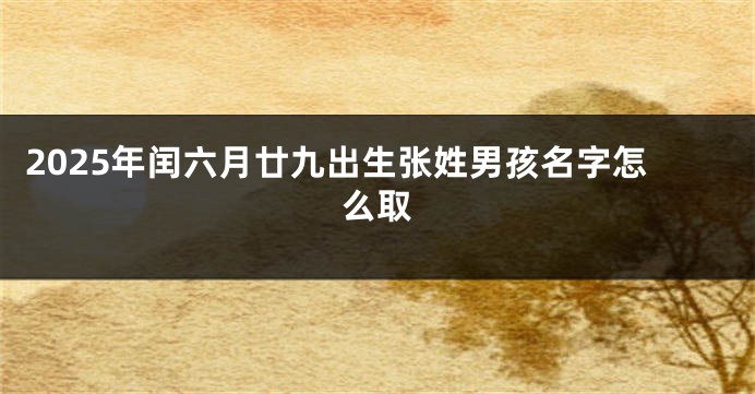 2025年闰六月廿九出生张姓男孩名字怎么取