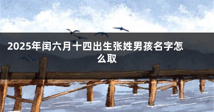 2025年闰六月十四出生张姓男孩名字怎么取