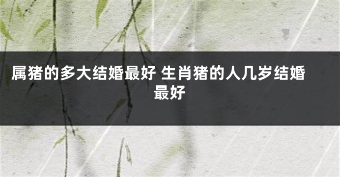 属猪的多大结婚最好 生肖猪的人几岁结婚最好