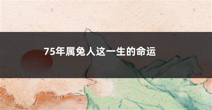75年属兔人这一生的命运