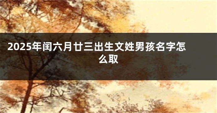 2025年闰六月廿三出生文姓男孩名字怎么取