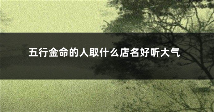 五行金命的人取什么店名好听大气