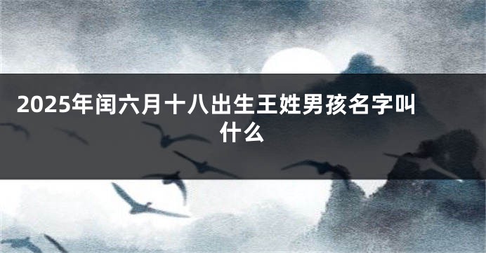 2025年闰六月十八出生王姓男孩名字叫什么