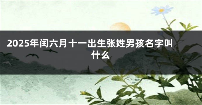 2025年闰六月十一出生张姓男孩名字叫什么
