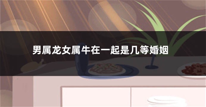 男属龙女属牛在一起是几等婚姻