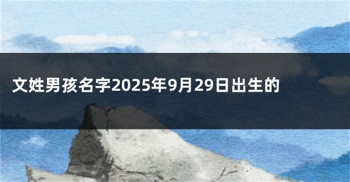文姓男孩名字2025年9月29日出生的