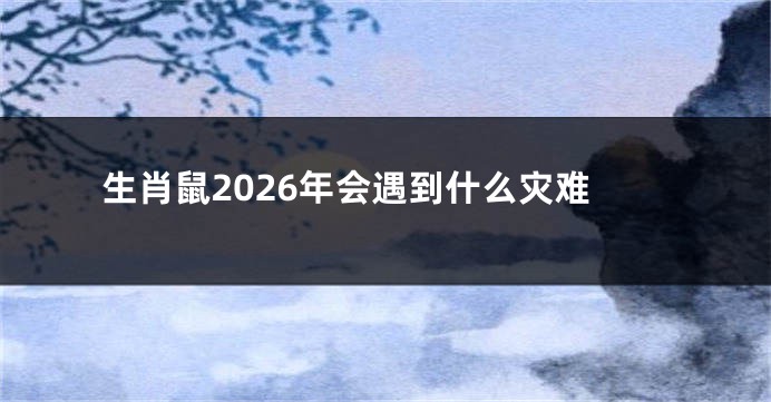 生肖鼠2026年会遇到什么灾难