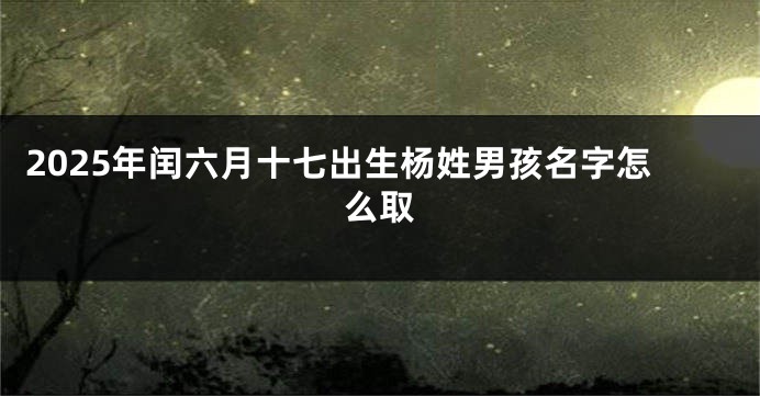 2025年闰六月十七出生杨姓男孩名字怎么取