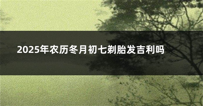 2025年农历冬月初七剃胎发吉利吗