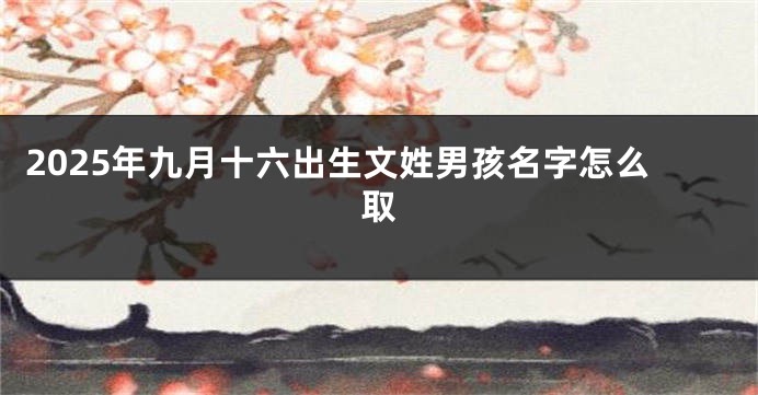 2025年九月十六出生文姓男孩名字怎么取