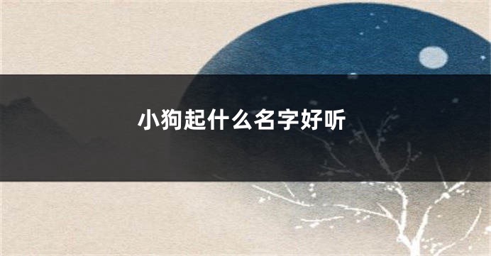 小狗起什么名字好听