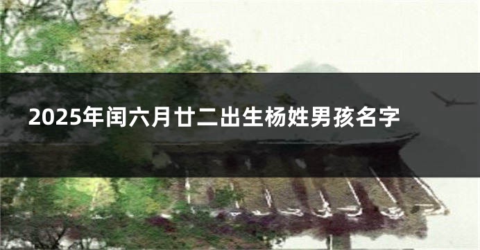 2025年闰六月廿二出生杨姓男孩名字