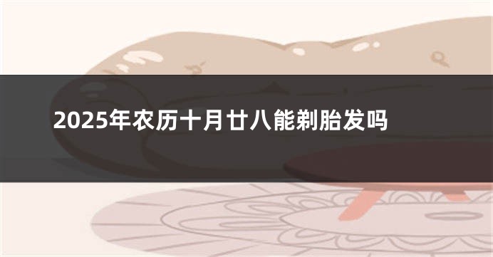 2025年农历十月廿八能剃胎发吗