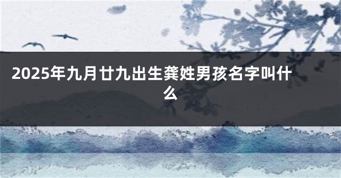 2025年九月廿九出生龚姓男孩名字叫什么