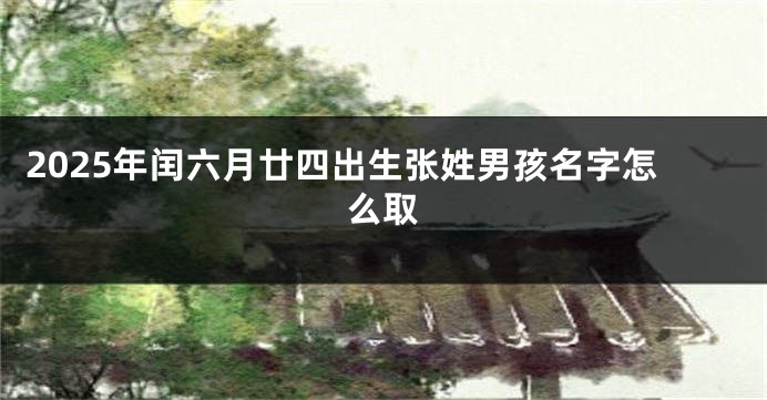 2025年闰六月廿四出生张姓男孩名字怎么取