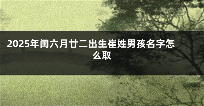 2025年闰六月廿二出生崔姓男孩名字怎么取