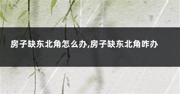 房子缺东北角怎么办,房子缺东北角咋办