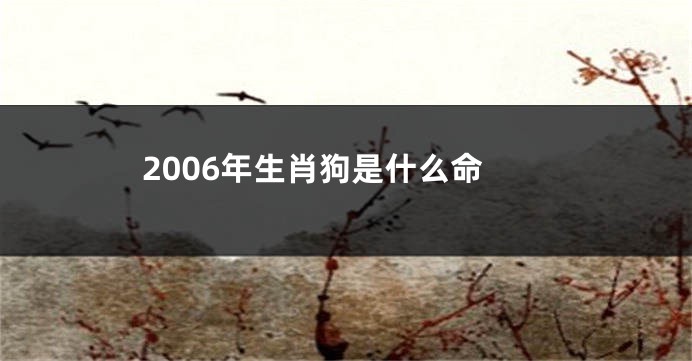 2006年生肖狗是什么命