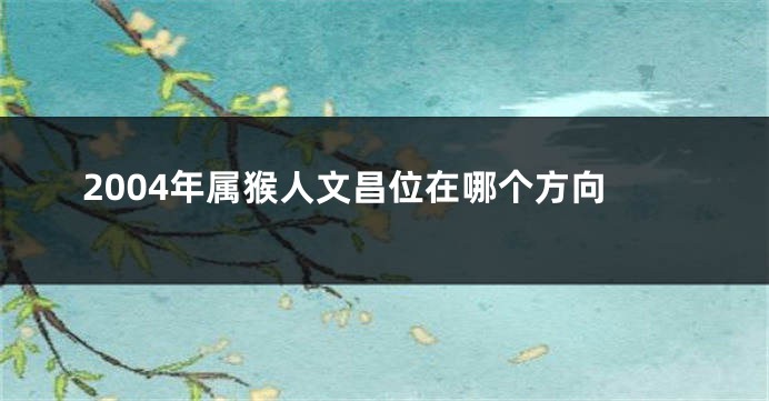 2004年属猴人文昌位在哪个方向