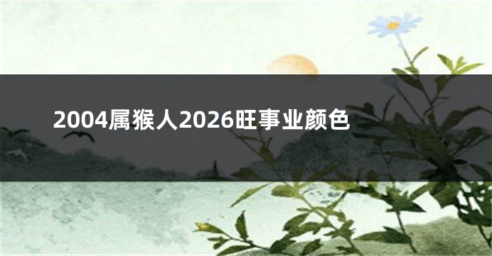 2004属猴人2026旺事业颜色