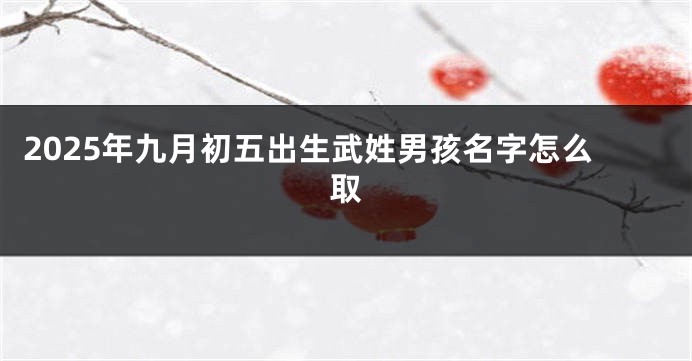 2025年九月初五出生武姓男孩名字怎么取