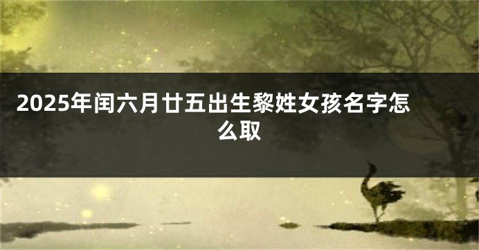 2025年闰六月廿五出生黎姓女孩名字怎么取