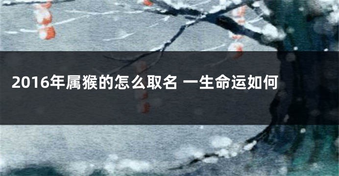 2016年属猴的怎么取名 一生命运如何