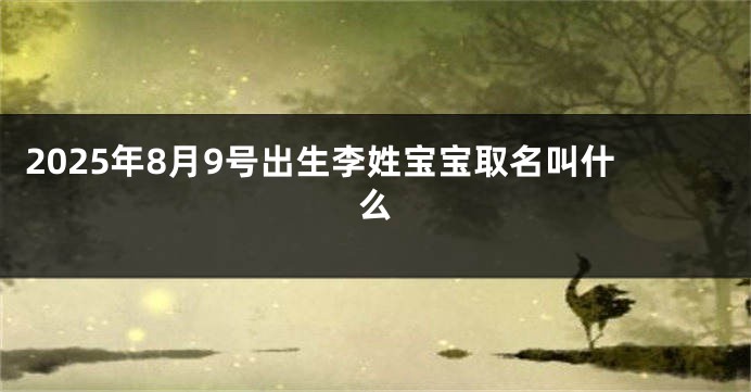 2025年8月9号出生李姓宝宝取名叫什么