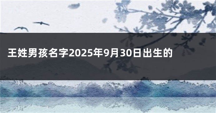 王姓男孩名字2025年9月30日出生的