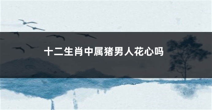 十二生肖中属猪男人花心吗
