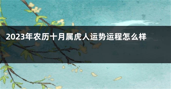 2023年农历十月属虎人运势运程怎么样 