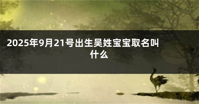 2025年9月21号出生吴姓宝宝取名叫什么