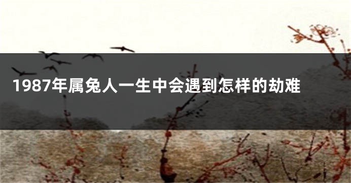 1987年属兔人一生中会遇到怎样的劫难