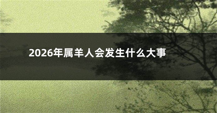 2026年属羊人会发生什么大事