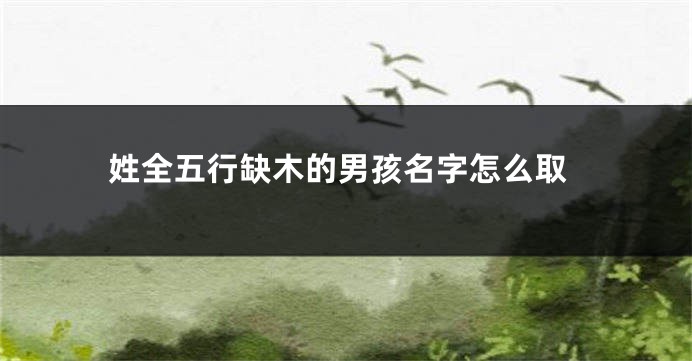 姓全五行缺木的男孩名字怎么取