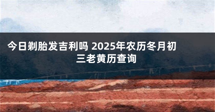 今日剃胎发吉利吗 2025年农历冬月初三老黄历查询
